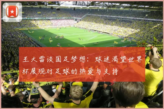 王大雷谈国足梦想：球迷渴望世界杯展现对足球的热爱与支持