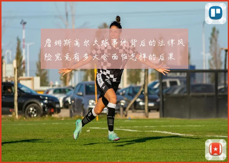 詹姆斯高尔夫球事件背后的法律风险究竟有多大会面临怎样的后果